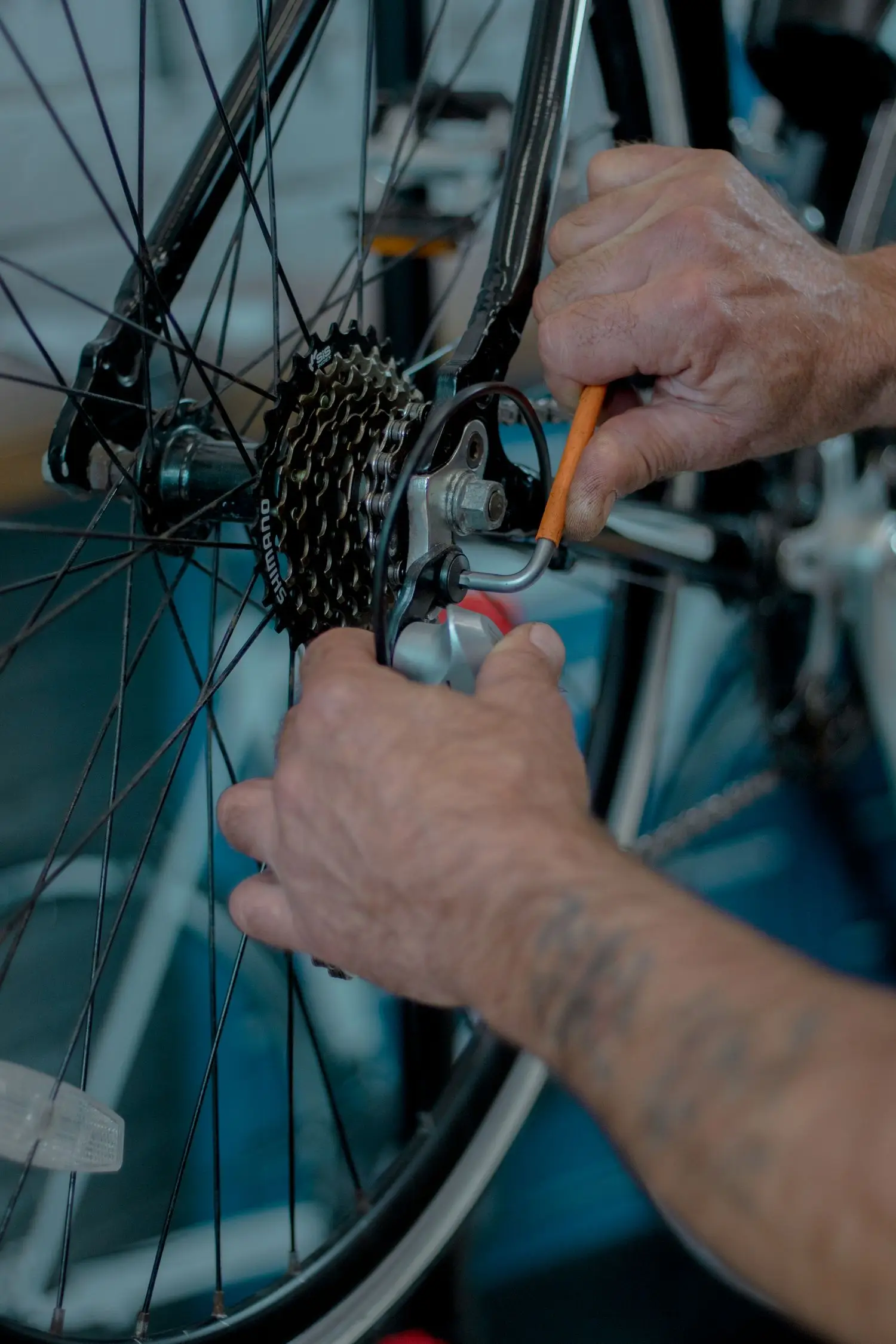 Technician adjusting a bicycle rear wheel and cassette